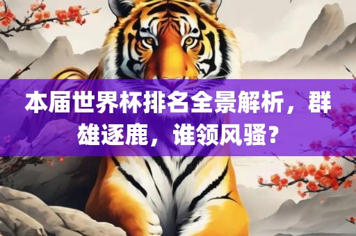 本届世界杯排名全景解析，群雄逐鹿，谁领风骚？