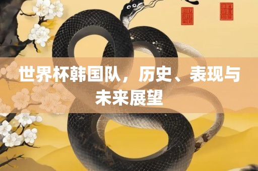 世界杯韩国队，历史、表现与未来展望眉山市正发家政服务有限公司