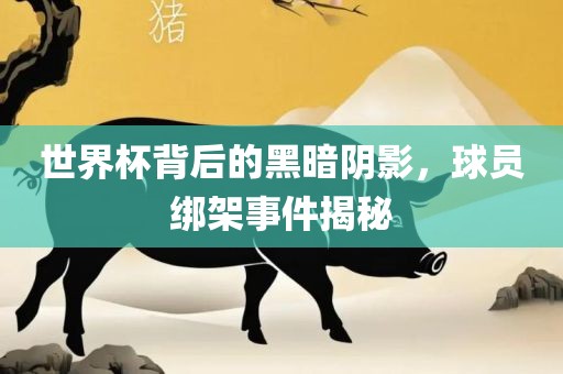 世界杯背后的黑暗阴影，球员绑架事件揭秘眉山市正发家政服务有限公司