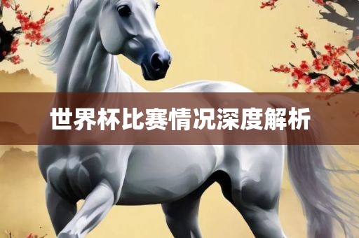 世界杯比赛情况深度解析