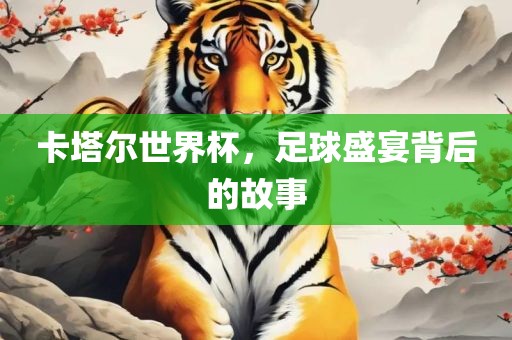 卡塔尔世界杯，足球盛宴背后的故事眉山市正发家政服务有限公司