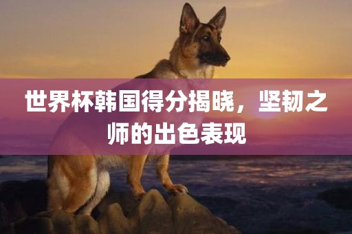 世界杯韩国得分揭晓眉山市正发家政服务有限公司，坚韧之师的出色表现