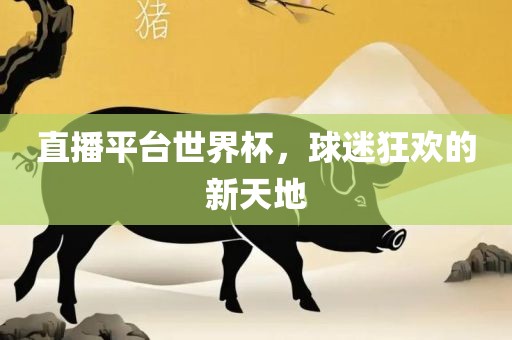 直播平台世界杯，球迷狂欢的新天地