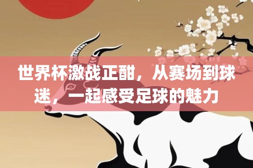 世界杯激战正酣，从赛场到球迷，一起感受足球的魅力眉山市正发家政服务有限公司
