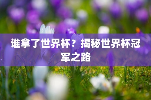 谁拿了世界杯？揭秘世界杯冠军之路眉山市正发家政服务有限公司