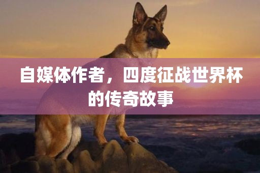自媒体作者，四度征战世界杯的传奇故事