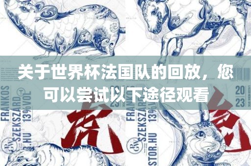 关于世界杯法国队的回放，您可以尝试以下途径观看