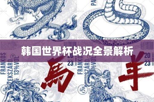 韩国世界杯战况全景解析