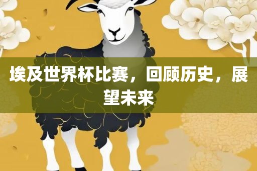埃及世界杯比赛，回顾历史，展望未来