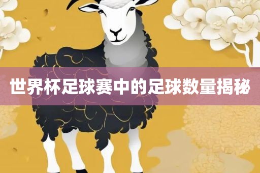 世界杯足球赛中的足球数量揭秘眉山市正发家政服务有限公司