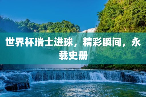 世界杯瑞士进球，精彩瞬间，永载史册眉山市正发家政服务有限公司