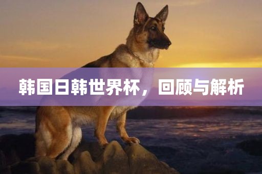 韩国日韩世界杯，回顾与解析