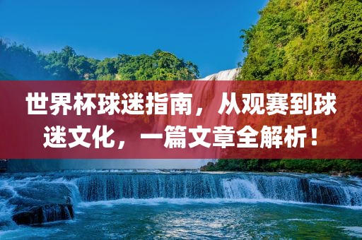 世界杯球迷指南，从观赛到球迷文化，一篇文章全解析！眉山市正发家政服务有限公司