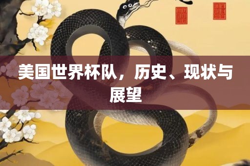 美国世界杯队，历史、现状与展望眉山市正发家政服务有限公司