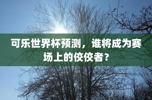 可乐世界杯预测，谁将成为赛场上的佼佼者？