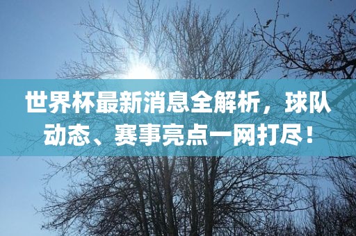 世界杯最新消息全解析，球队动态、赛事亮点一网打尽！