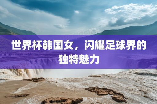 世界杯韩国女，闪耀足球界的独特魅力眉山市正发家政服务有限公司