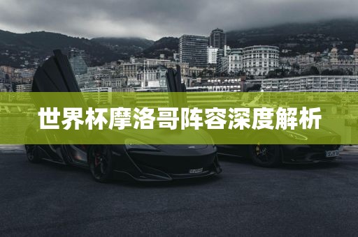 世界杯摩洛哥阵容深度解析眉山市正发家政服务有限公司