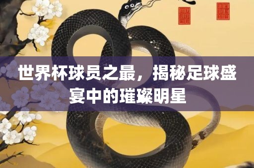 世界杯球员眉山市正发家政服务有限公司之最，揭秘足球盛宴中的璀璨明星