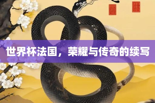 世界杯法国，荣耀与传奇的续写