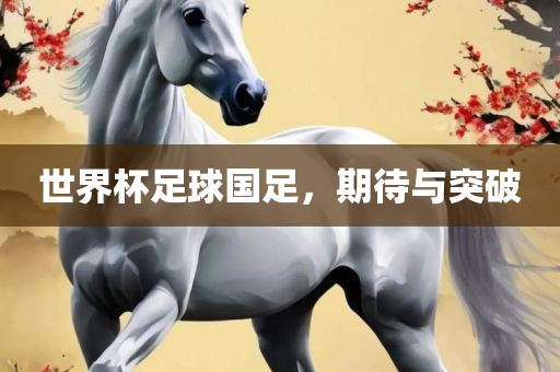 世界杯足球国足，期待与突破