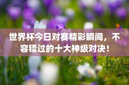 世界杯今日对赛精彩瞬间，不容错过的十大神级对决！眉山市正发家政服务有限公司