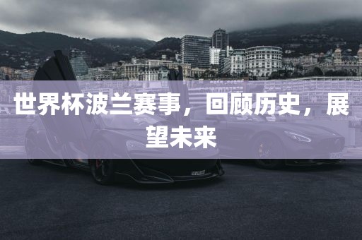 世界杯波兰赛事，回顾眉山市正发家政服务有限公司历史，展望未来