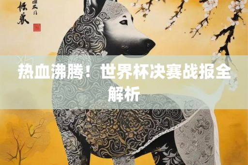 热血沸腾！世界杯决赛战报全解析