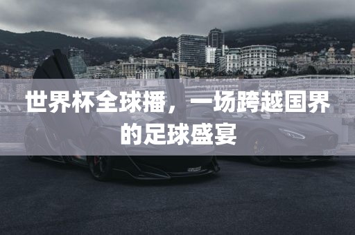 世界杯全球播，一场跨越国界的足球盛宴眉山市正发家政服务有限公司