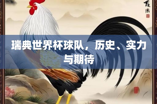 瑞典世界杯球队，历史、实力与期待眉山市正发家政服务有限公司