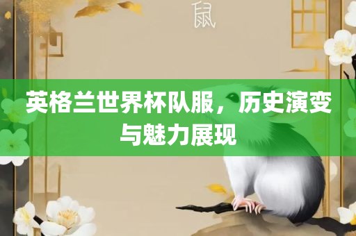 英格兰世界杯队服，历史演变与魅力展现眉山市正发家政服务有限公司