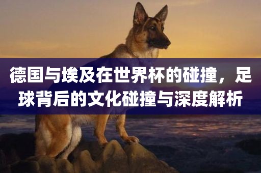 德国与埃及在世界杯的碰撞，足球背后的文化碰撞与深度解析眉山市正发家政服务有限公司
