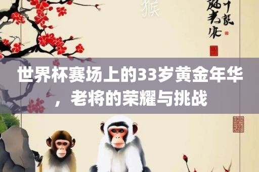 世界杯赛场上的33岁黄金年华，老将的荣耀与挑战