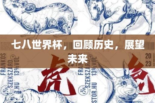 七八世界杯，回顾历史，展望未来眉山市正发家政服务有限公司