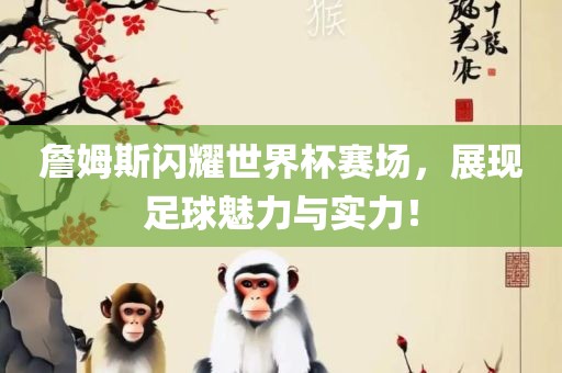 詹姆斯闪耀世界杯赛场，展现足球魅力与实力！眉山市正发家政服务有限公司