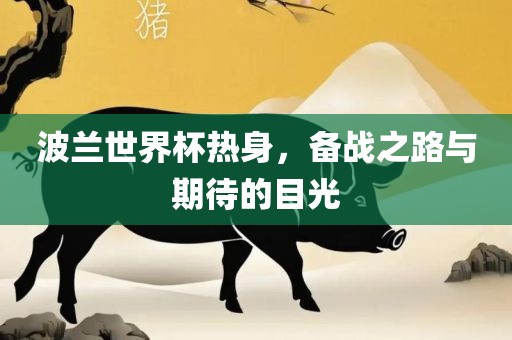 波兰世界杯热身，备战之路与期待的目光