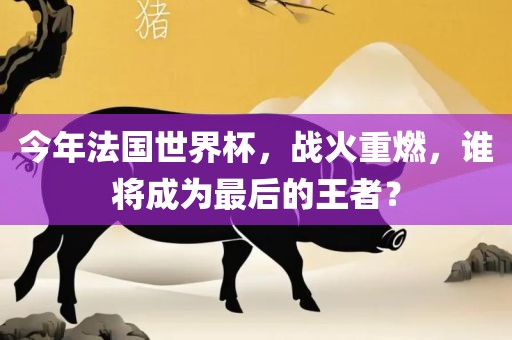 今年法国世界杯，战火重燃，谁将成为最后的王者？眉山市正发家政服务有限公司