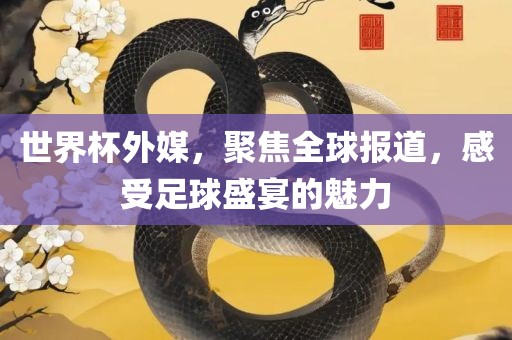 世界杯外媒，聚焦全球报道，感受足球盛宴的魅力眉山市正发家政服务有限公司