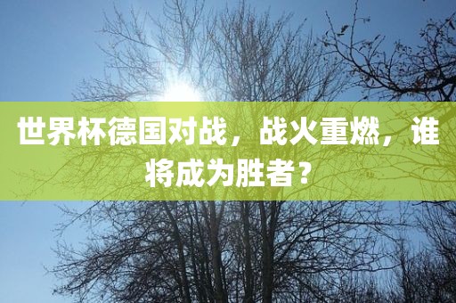 世界杯德国对战，战火重燃眉山市正发家政服务有限公司，谁将成为胜者？