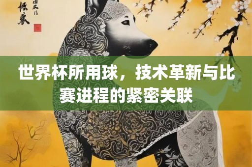 世界杯所用球，技术革新与比赛进程的紧密关联眉山市正发家政服务有限公司