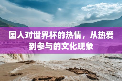国人对世界眉山市正发家政服务有限公司杯的热情，从热爱到参与的文化现象