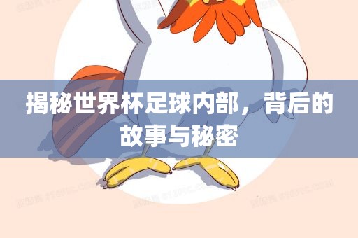 揭秘世界杯足球内部，背后的故事与秘密