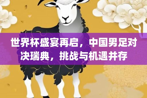 世界杯盛宴再启眉山市正发家政服务有限公司，中国男足对决瑞典，挑战与机遇并存
