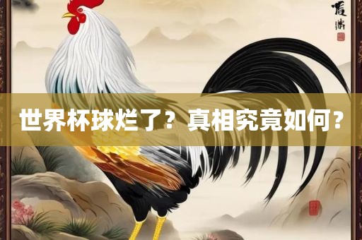 世界杯球烂了？真相究竟如何？眉山市正发家政服务有限公司