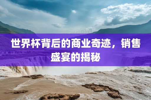 世界杯背后的商业奇迹，销售盛宴的揭秘眉山市正发家政服务有限公司