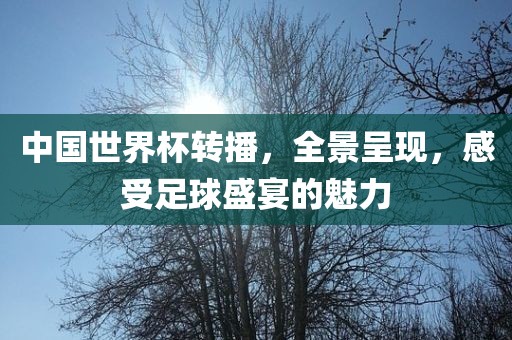 中国世界杯转播，全景呈现，感受足球盛宴眉山市正发家政服务有限公司的魅力