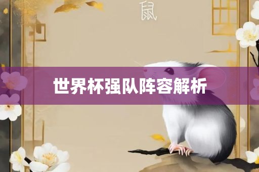 世界杯强队阵容解析