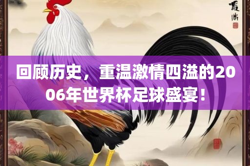 回顾历史，重温激情四溢的2006年世界杯足球盛宴！眉山市正发家政服务有限公司