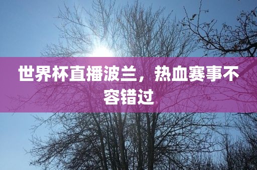 世界杯直播波兰，热血赛事不容错过眉山市正发家政服务有限公司