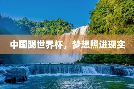中国踢世界杯，梦想照进现实